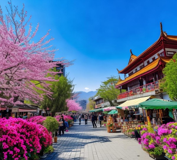 春城昆明热门打卡地，昆明必游景点全攻略